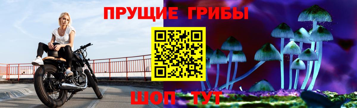 Галлюциногенные грибы MAGIC MUSHROOMS  Вход с VPN  цена   Псилоцибиновые грибы MAGIC MUSHROOMS  Арзамас 